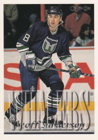 1995-96 O-Pee-Chee #318 Geoff SANDERSON